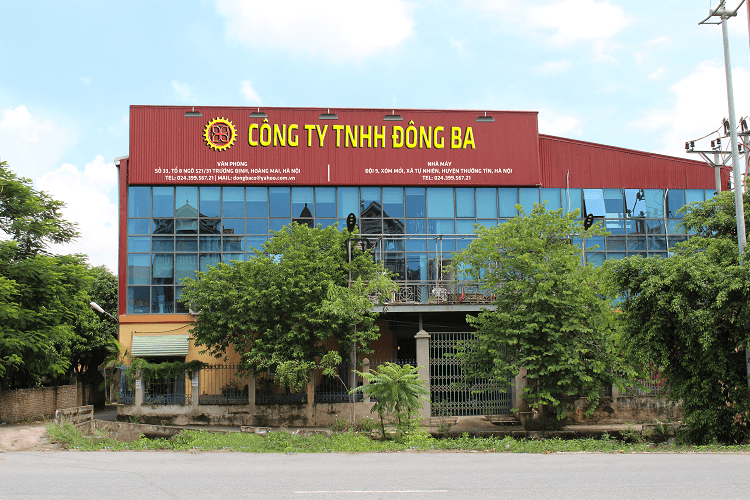 Sự Thành Lập Chính Thức